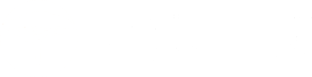 Websitetoday logo