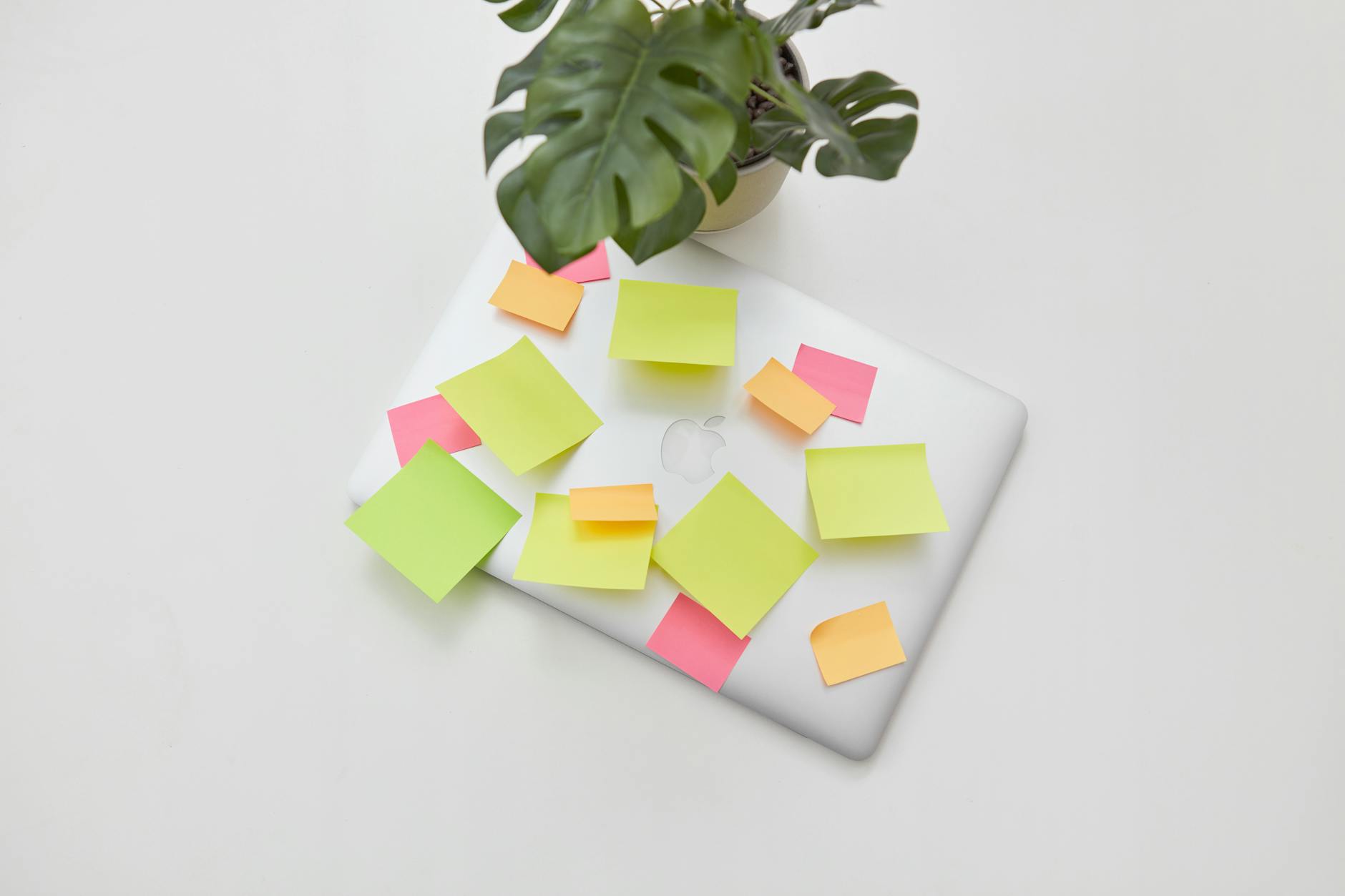 Post-it briefjes met brainstorm-ideeën voor een domeinnaam